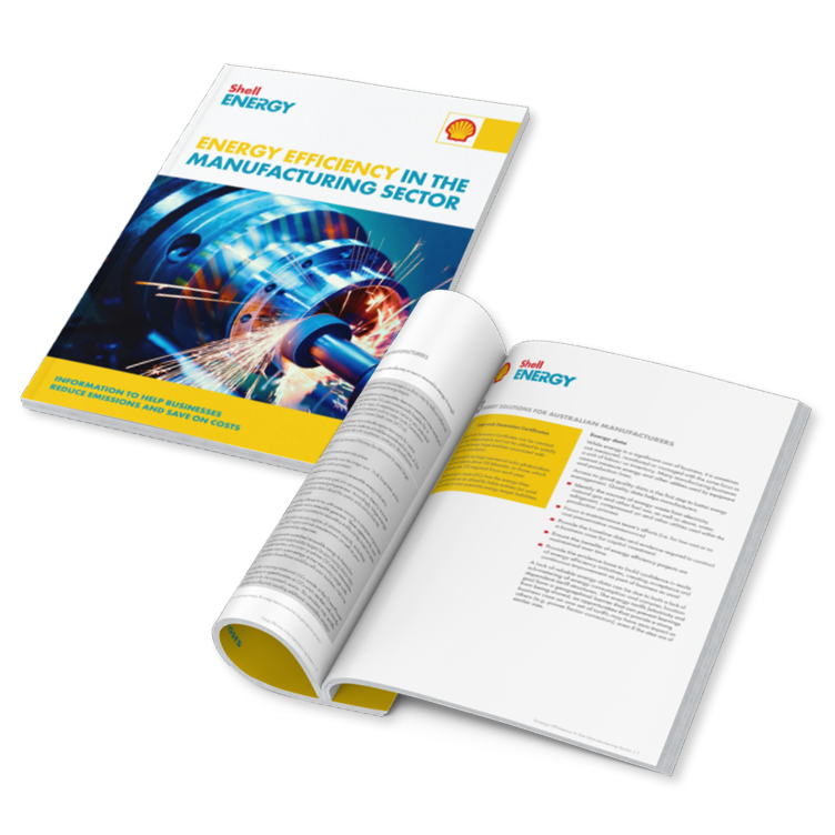 Energy Efficiency in the Manufacturing Sector Whitepaper
